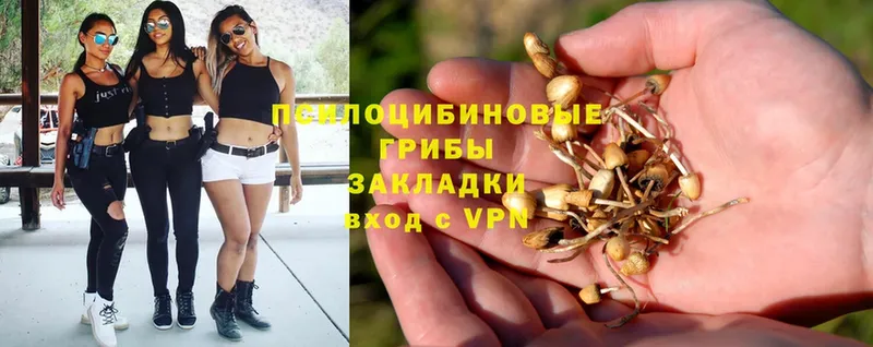 Галлюциногенные грибы MAGIC MUSHROOMS  mega вход  Раменское 